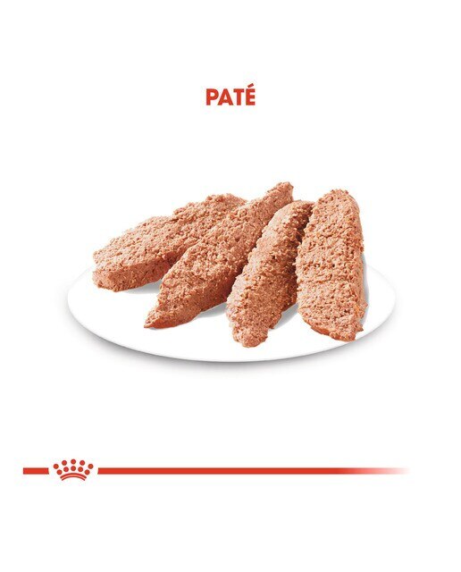 Comida húmeda para perros adultos Urinary Care 12 x 85 g 5