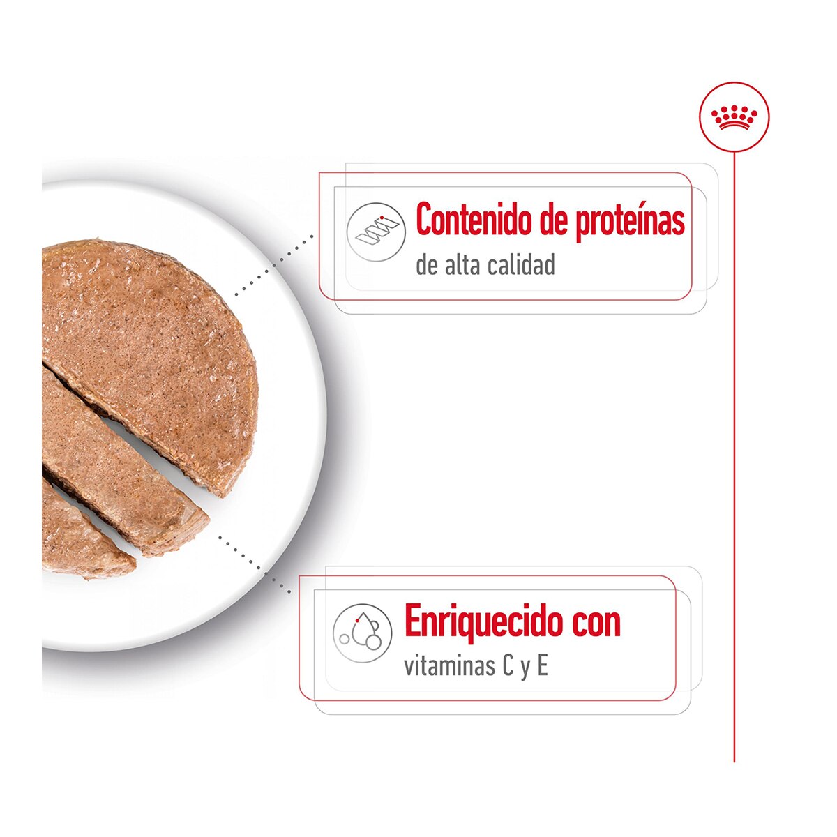 Comida húmeda para perros adultos medianos Royal Canin paté 410 g 2