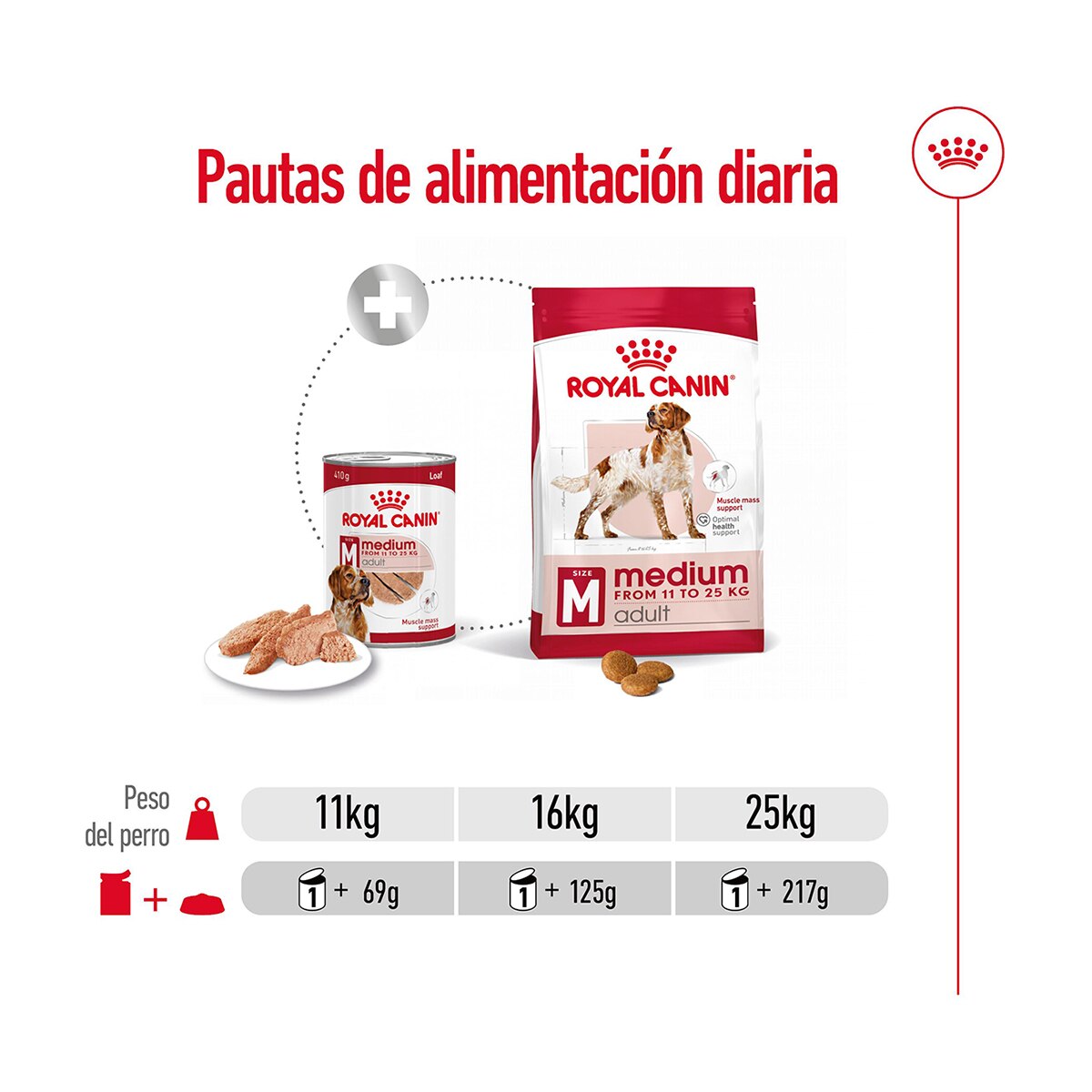 Comida húmeda para perros adultos medianos Royal Canin paté 410 g 3