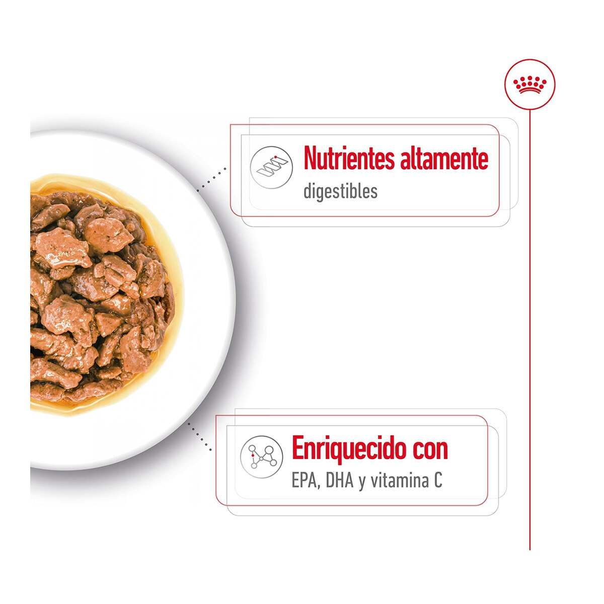 Comida húmeda para perros adultos minis Royal Canin en salsa 85 g 2