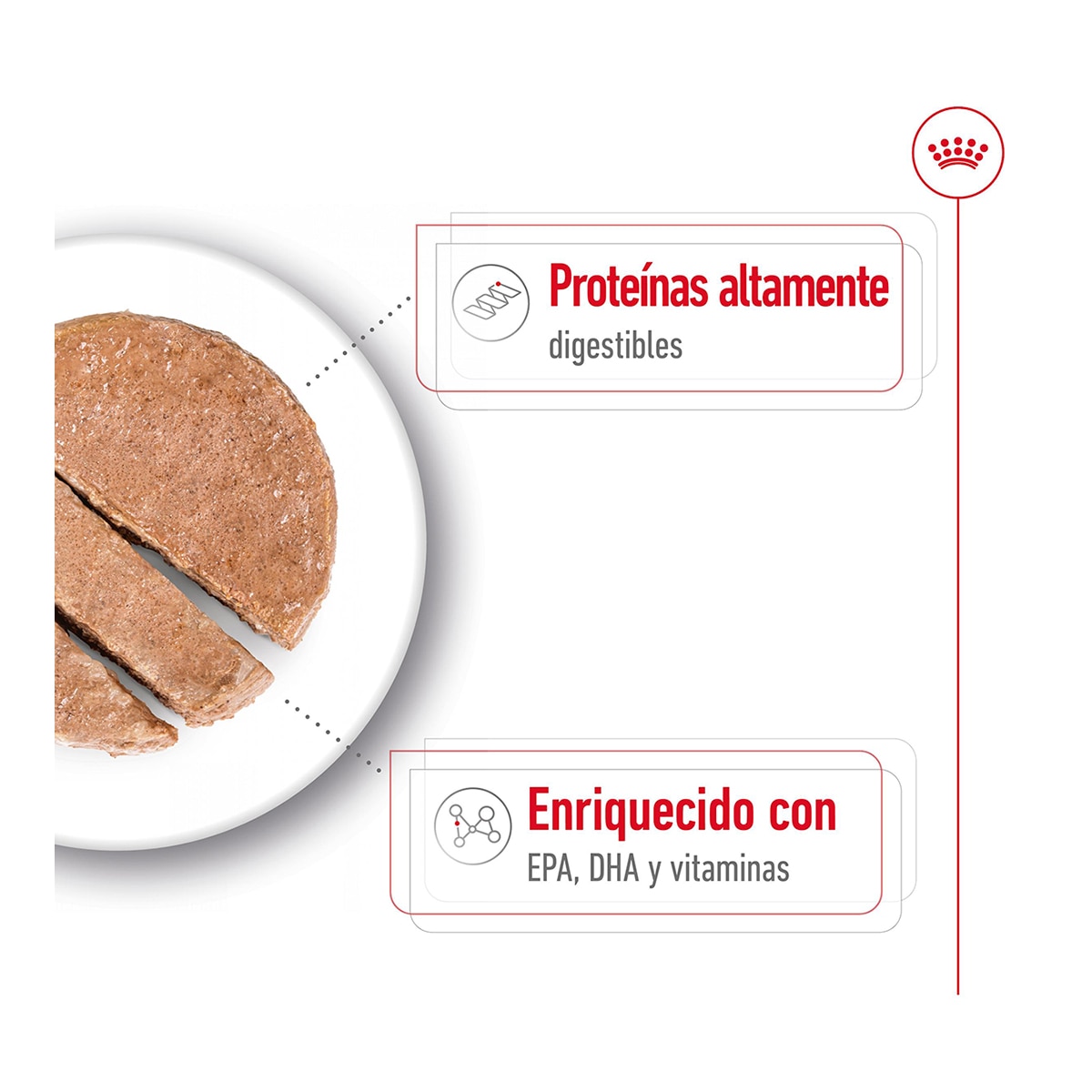 Comida húmeda para perros adultos grandes Royal Canin Maxi paté 410 g 2