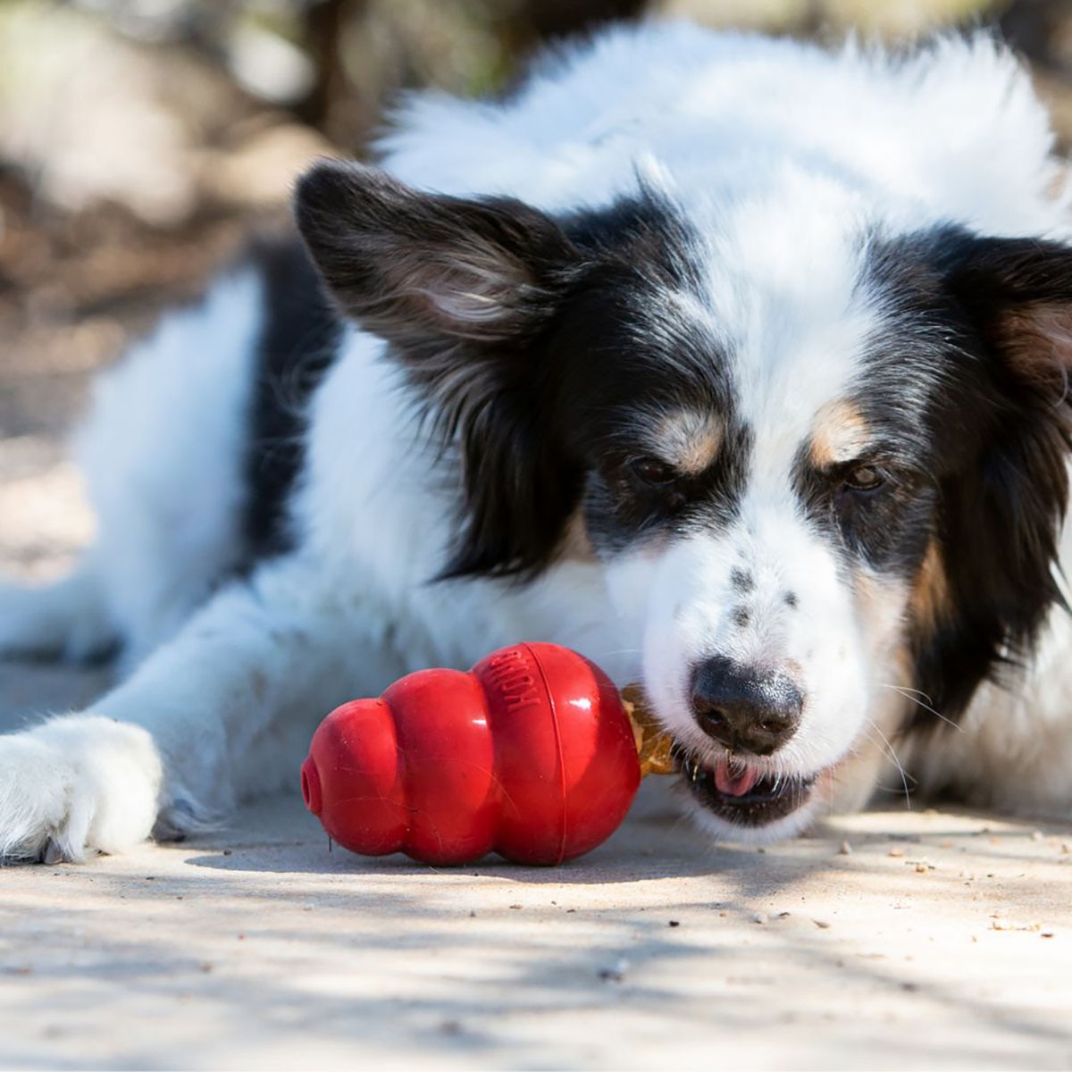 Snacks para perros adultos pequeños Kong hígado 198 g 4