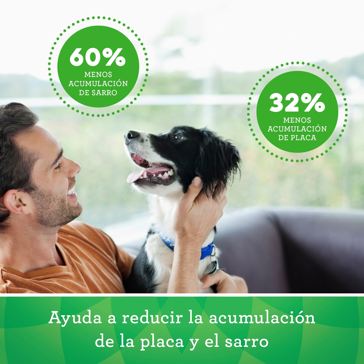 Snack dental para perros Greenies Large Original 170 g 3