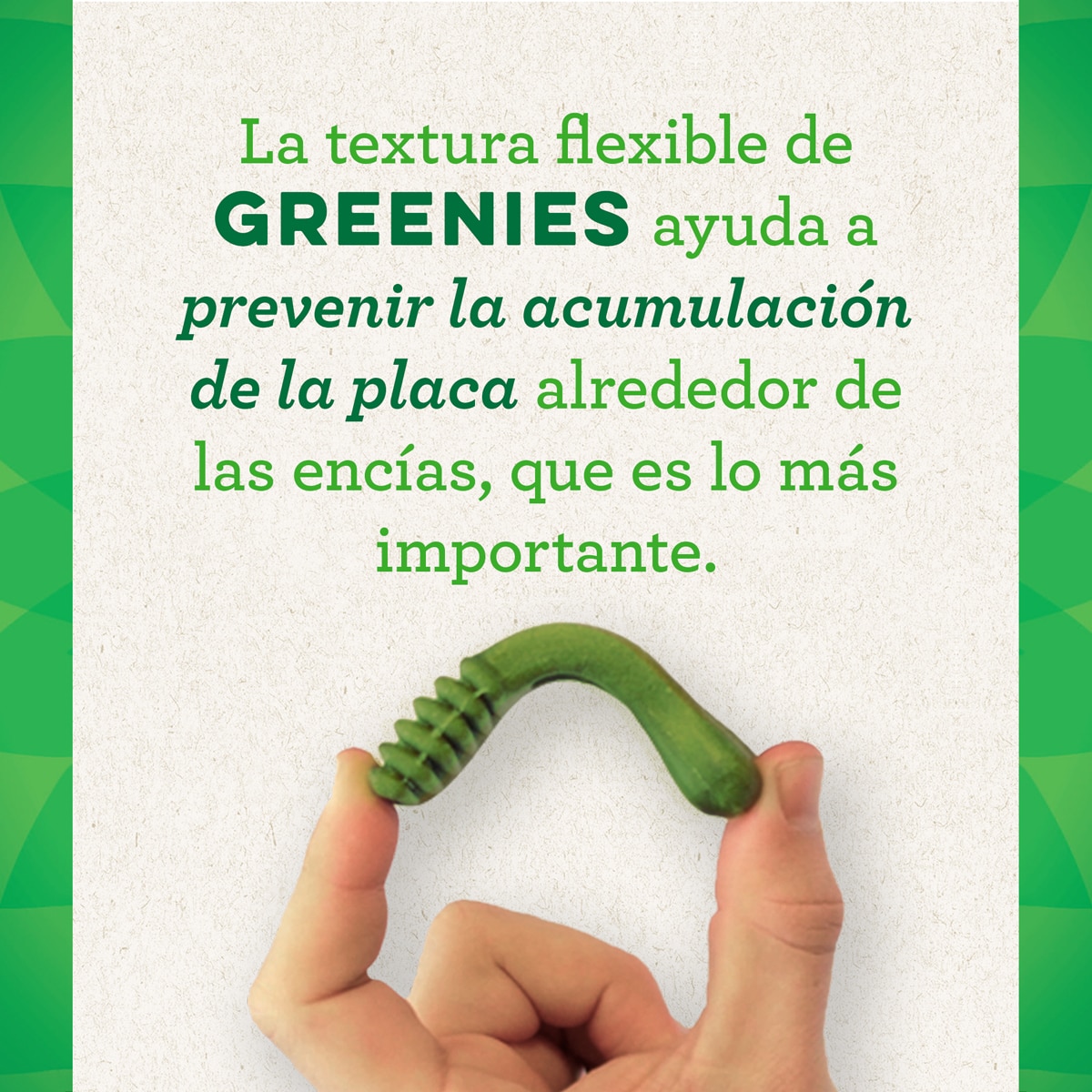 Snack dental para perros pequeños Greenies Petite 340 g 6