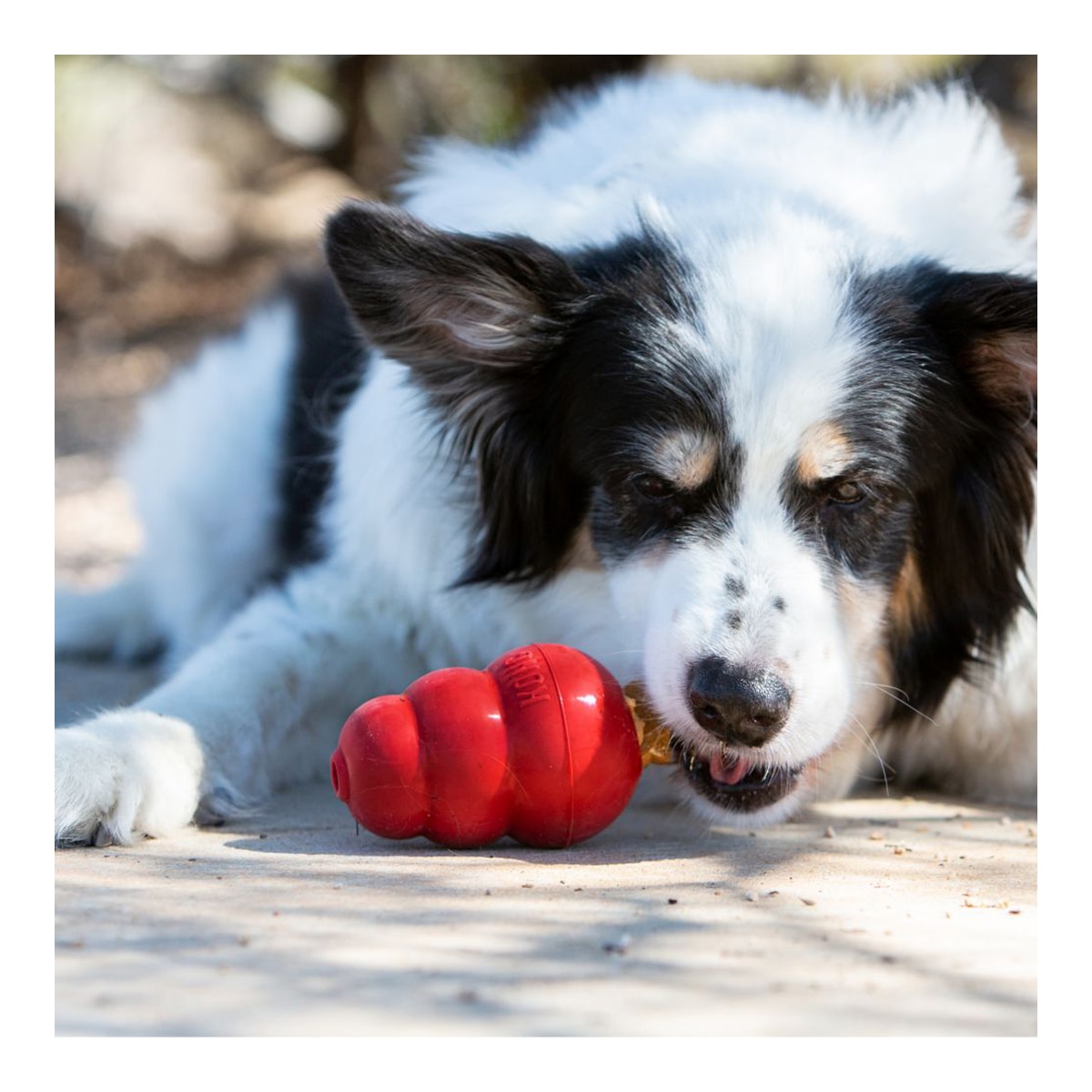 Snack para perros adultos grandes Kong hígado 312 g 4