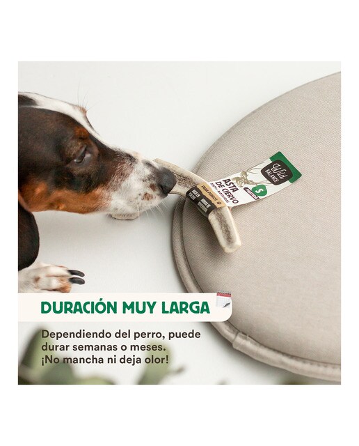 Asta de ciervo para perros Wild Balance 2