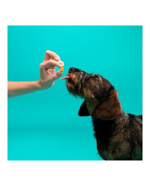 Snack para perros Edgard & Cooper Bites pollo 50 g 4