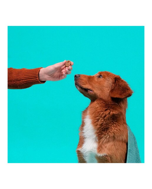 Snack para perros Edgard & Cooper galletas Bravo pollo 400 g 5