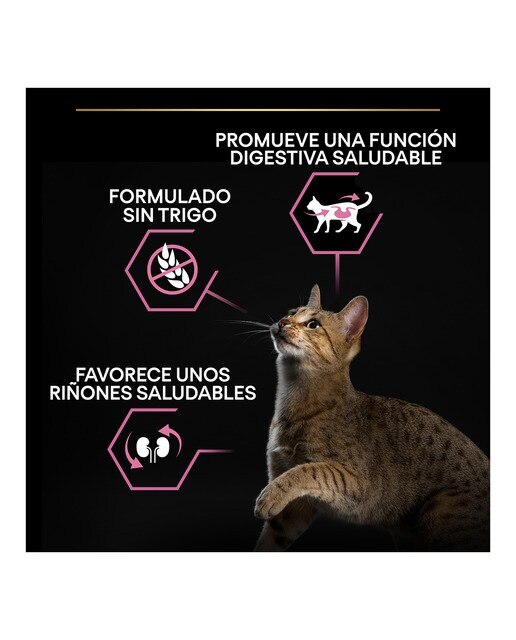 Pienso para gatos adultos Purina Pro Plan Delicate Digestion pavo 1,5 kg 3