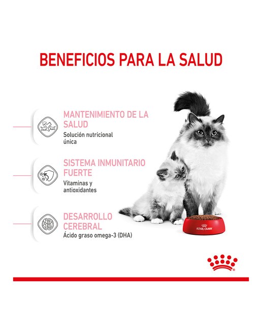 Pienso para gatas gestantes, lactantes y gatitos Royal Canin 2 kg 4