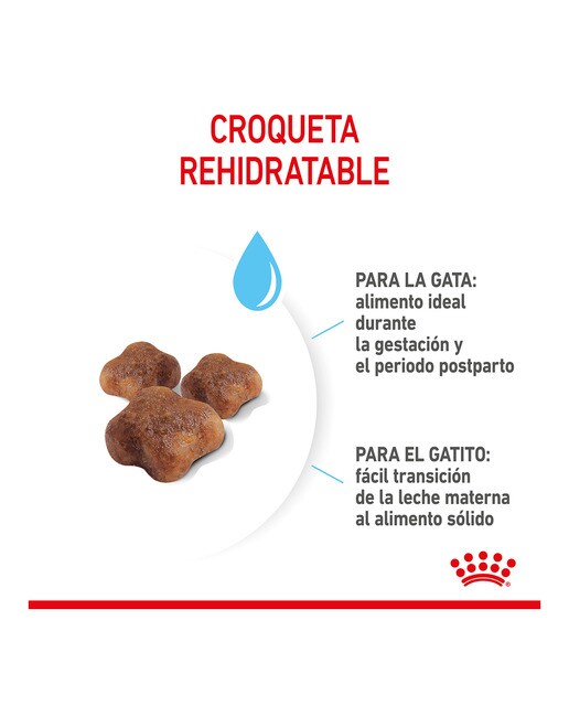 Pienso para gatas gestantes, lactantes y gatitos Royal Canin 2 kg 5