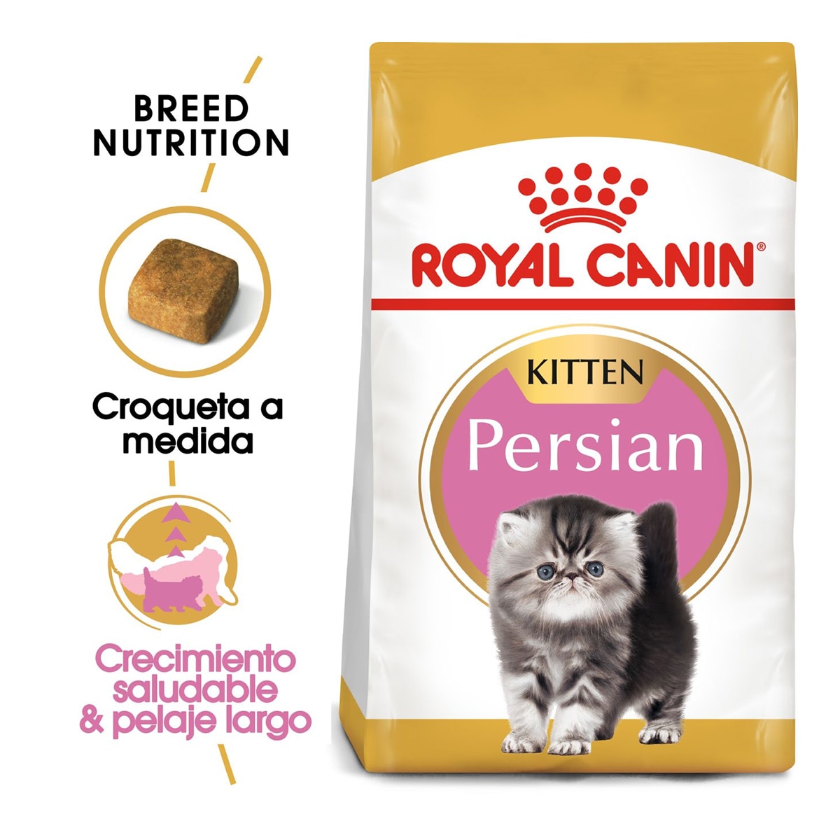 Pienso para gatitos Royal Canin Persa 2 kg 2