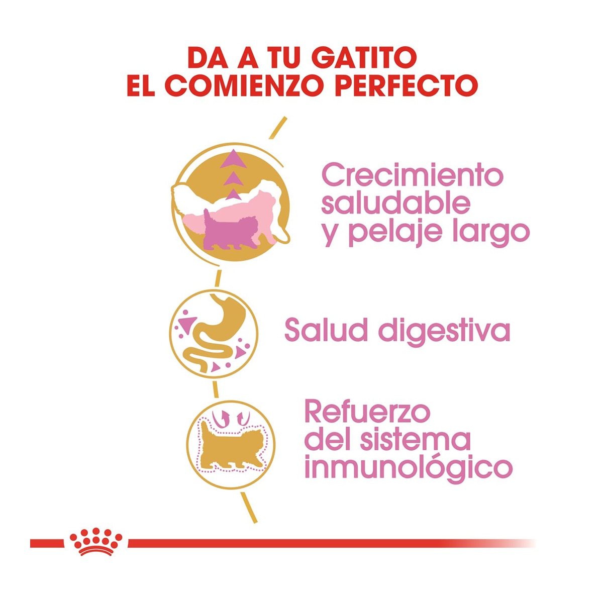 Pienso para gatitos Royal Canin Persa 2 kg 4