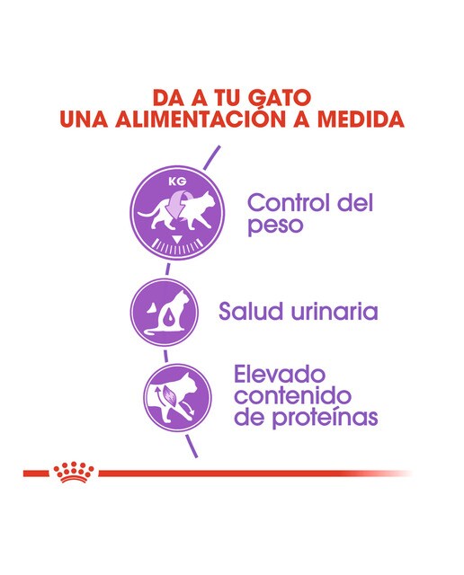 Pienso para gatos adultos Royal Canin Sterilised 37 3