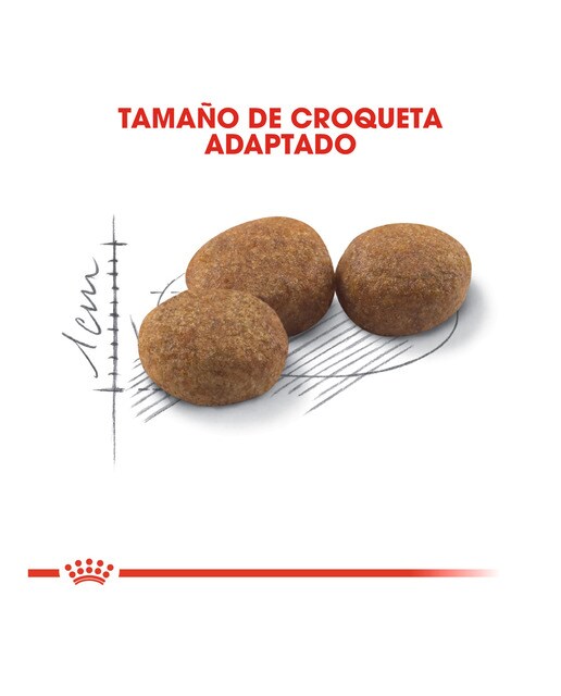 Pienso para gatos adultos Royal Canin Sterilised 37 4