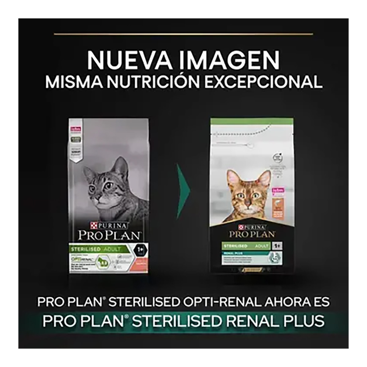 Pienso para gatos adultos esterilizados Purina Pro Renal Plus salmón 3