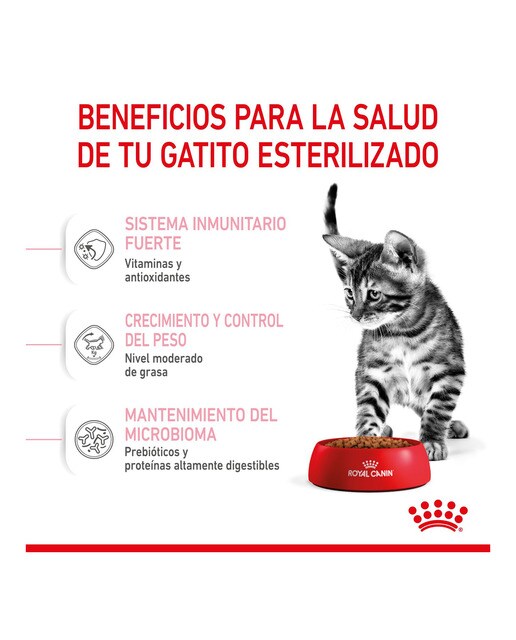Pienso para gatitos esterilizados Royal Canin 4