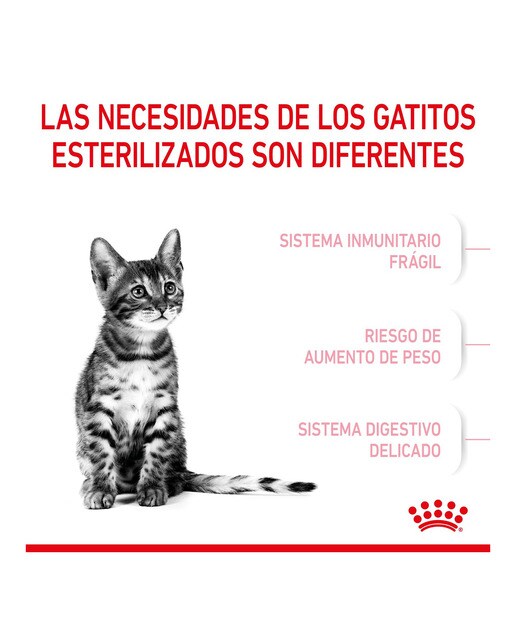 Pienso para gatitos esterilizados Royal Canin 5