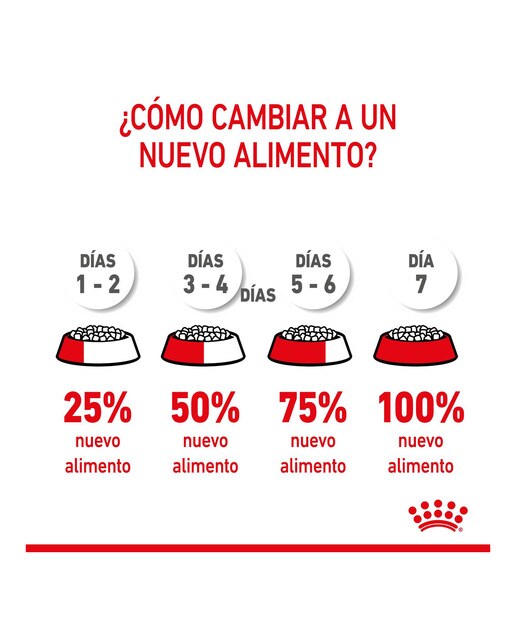 Pienso para gatitos esterilizados Royal Canin 7