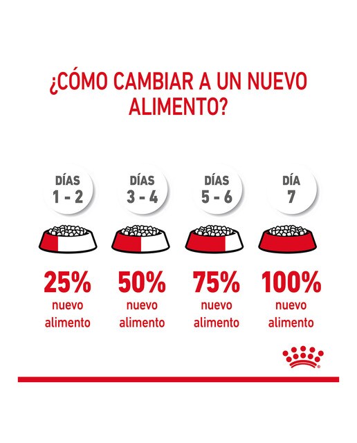 Pienso para gatos adultos esterilizados regular control del apetito Royal Canin 8