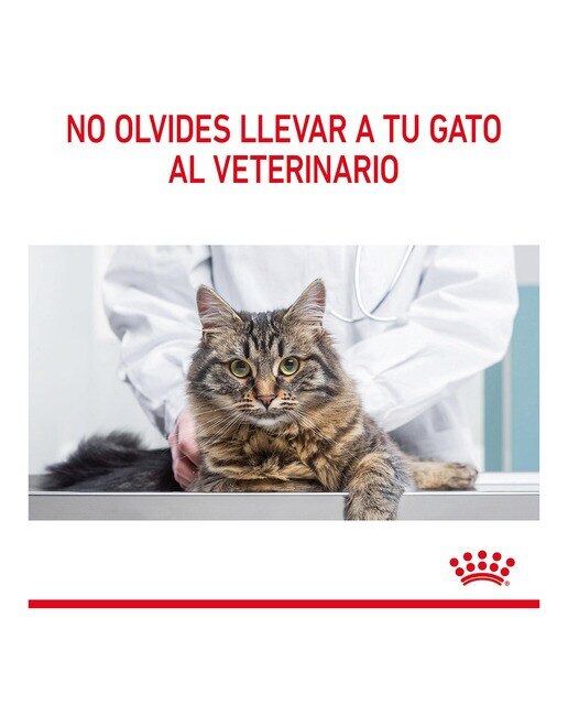 Pienso para gatos adultos esterilizados regular control del apetito Royal Canin 9