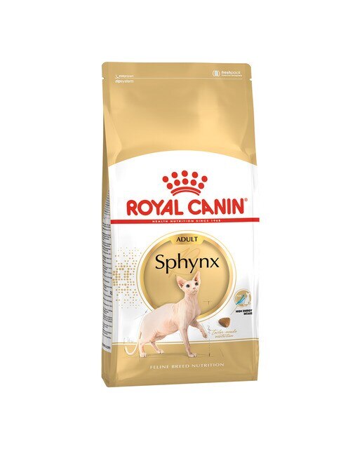 Royal Canin - Pienso para gatos adultos Royal Canin Esfinge 10 kg