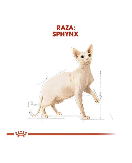 Pienso para gatos adultos Royal Canin Esfinge 10 kg 2