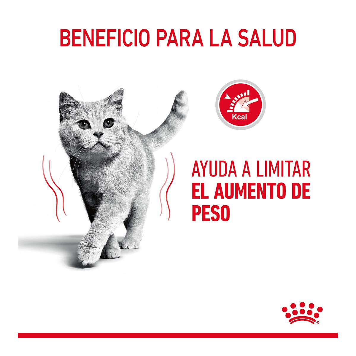Pienso para gatos adultos Royal Canin Light Weight Care 3