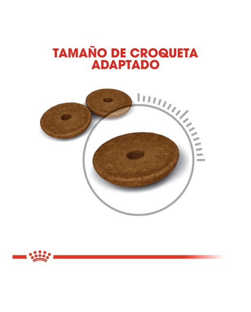 Pienso para gatos adultos Royal Canin Digestive Care 2