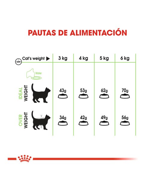 Pienso para gatos adultos Royal Canin Digestive Care 4