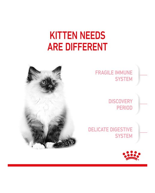 Pienso para gatitos de 4 a 12 meses Royal Canin 4