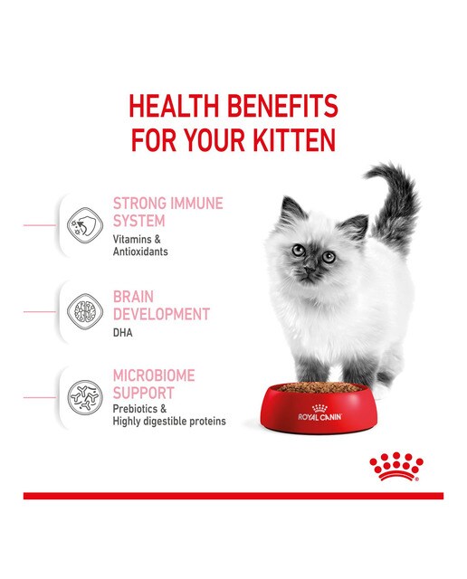 Pienso para gatitos de 4 a 12 meses Royal Canin 5