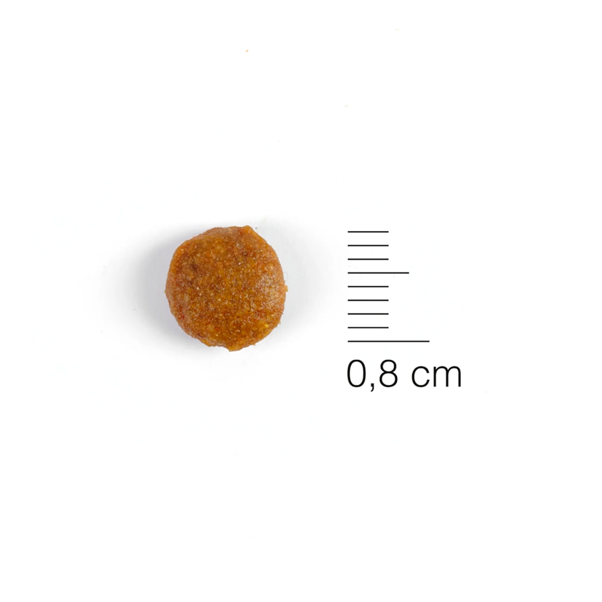 Pienso para gatitos Natura Diet salmón 1,5 kg 3
