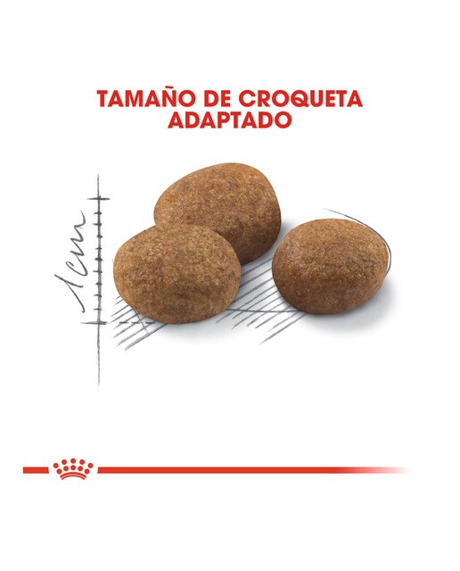 Pienso para gatos adultos y sénior Royal Canin Sterilised 7+ 6