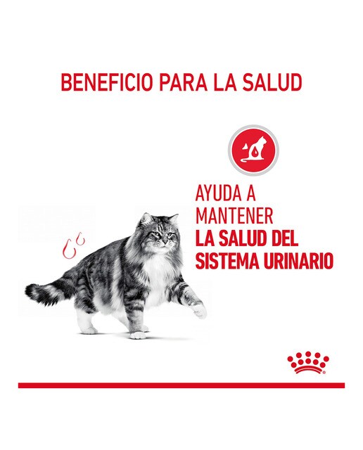 Pienso para gatos adultos Royal Canin Urinary Care 3