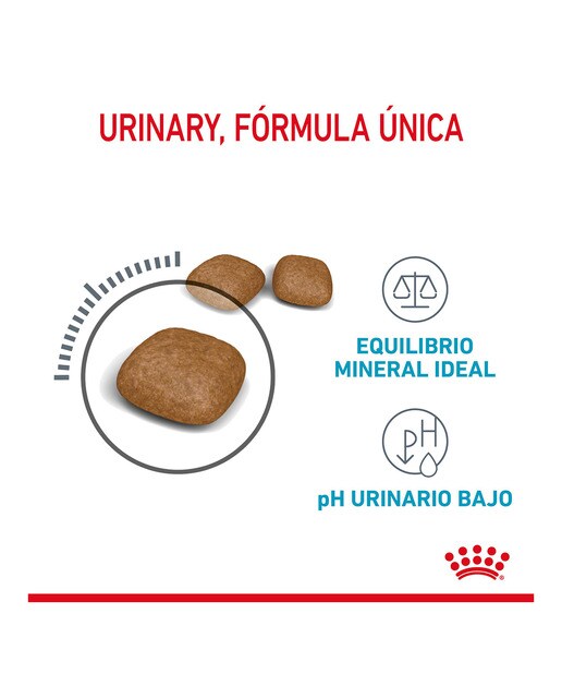 Pienso para gatos adultos Royal Canin Urinary Care 4