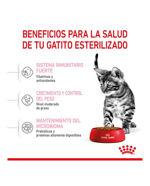 Imagen 4 de Pienso para gatitos esterilizados Royal Canin