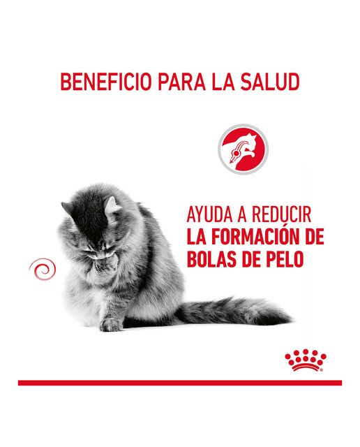 Imagen 3 de Pienso para gatos adultos Royal Canin Hairball Care