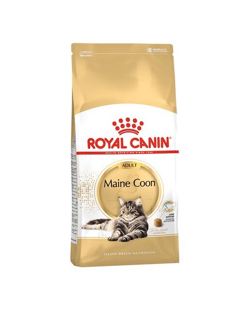 Royal Canin - Pienso para gatos adultos Royal Canin Maine Coon 10 kg