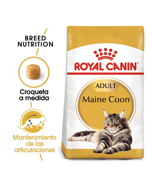 Pienso para gatos adultos Royal Canin Maine Coon 10 kg 2