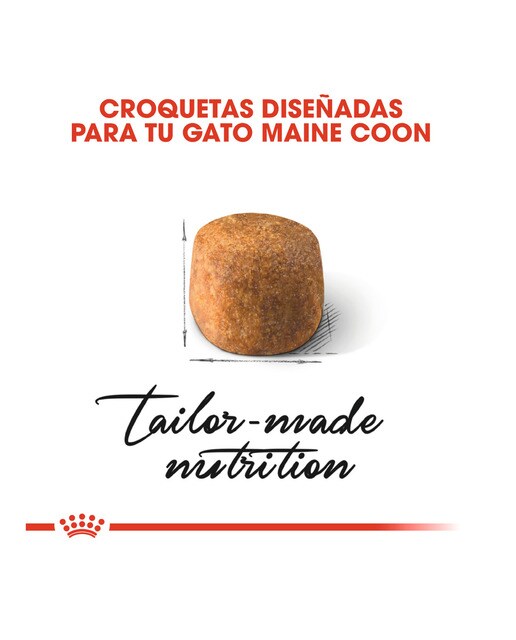 Pienso para gatos adultos Royal Canin Maine Coon 10 kg 5