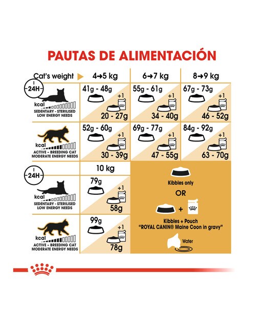 Pienso para gatos adultos Royal Canin Maine Coon 10 kg 6