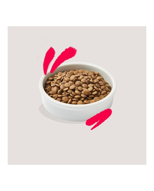 Pienso para gatos sénior Edgard & Cooper pollo y pavo sin cereales 2 kg 6