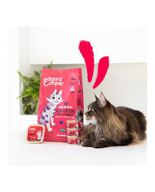 Pienso para gatos sénior Edgard & Cooper pollo y pavo sin cereales 2 kg 7
