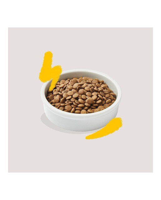 Pienso para gatos adultos Edgard & Cooper pavo y pollo sin cereales 6