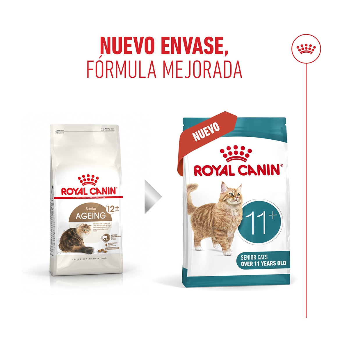 Pienso para gatos sénior Royal Canin 2 kg 2