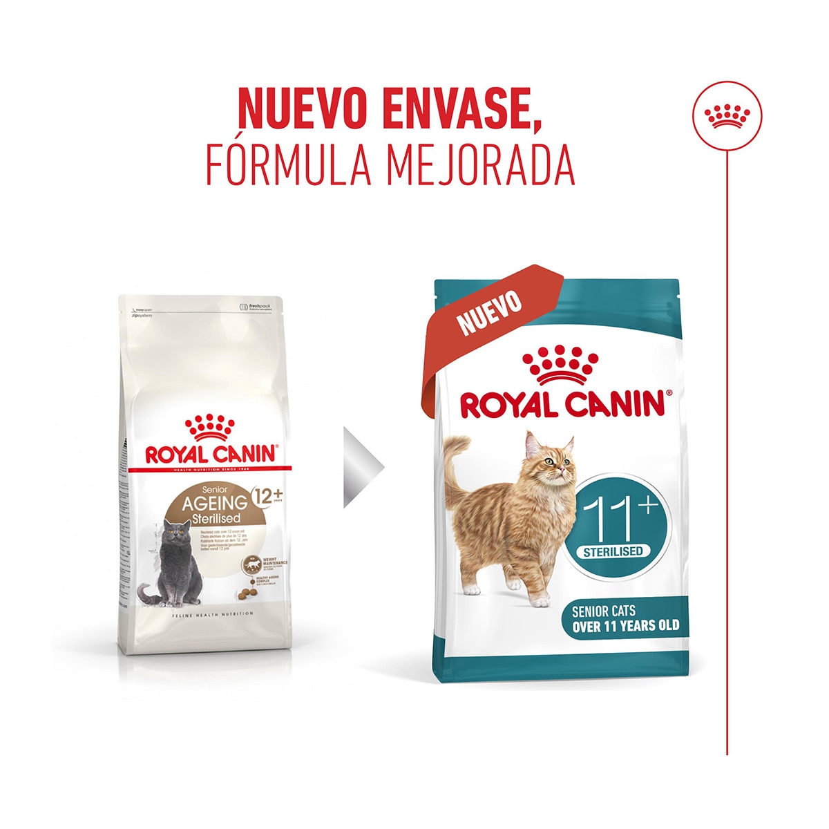 Pienso para gatos sénior esterilizados Royal Canin 2 kg 2