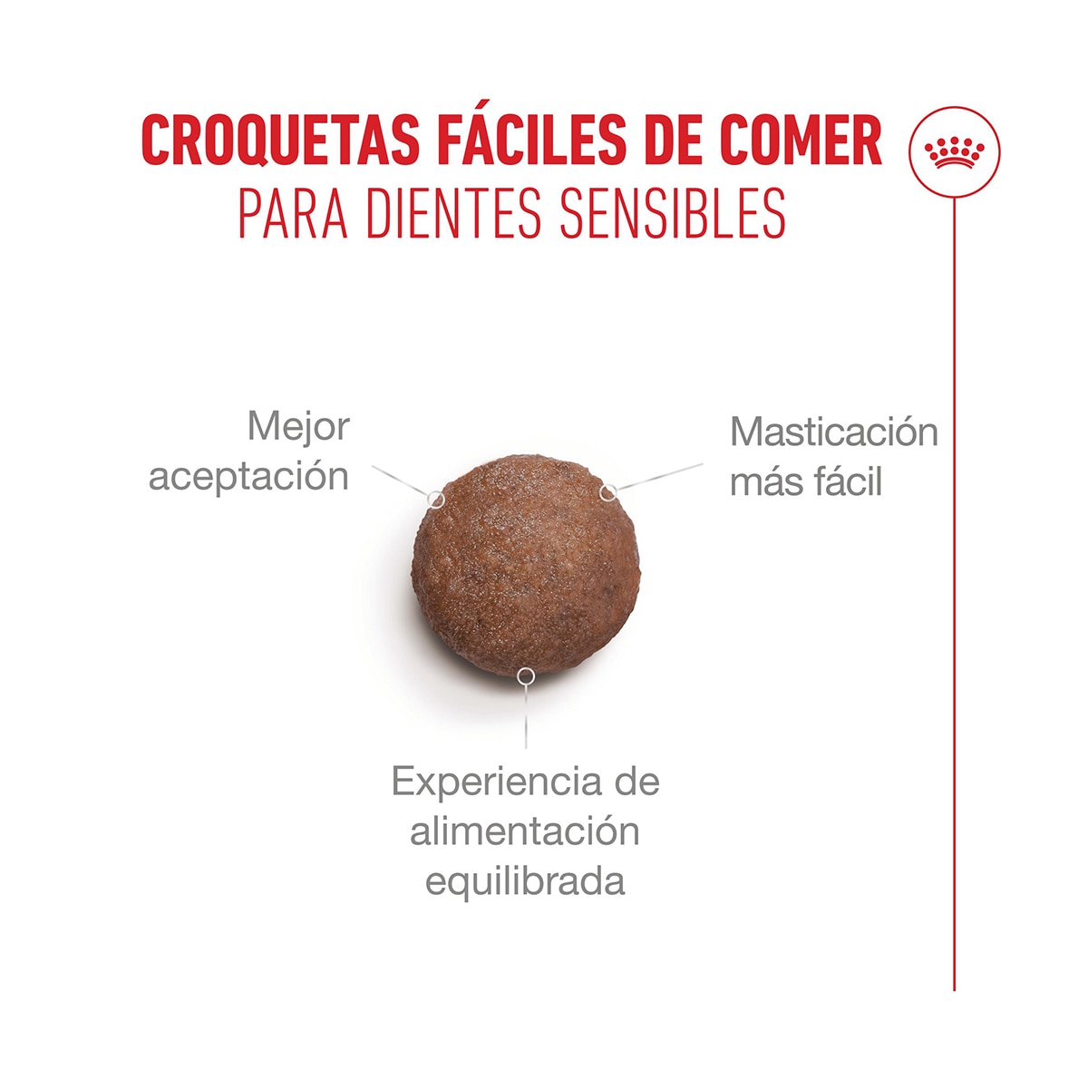 Pienso para gatos sénior esterilizados Royal Canin 2 kg 3