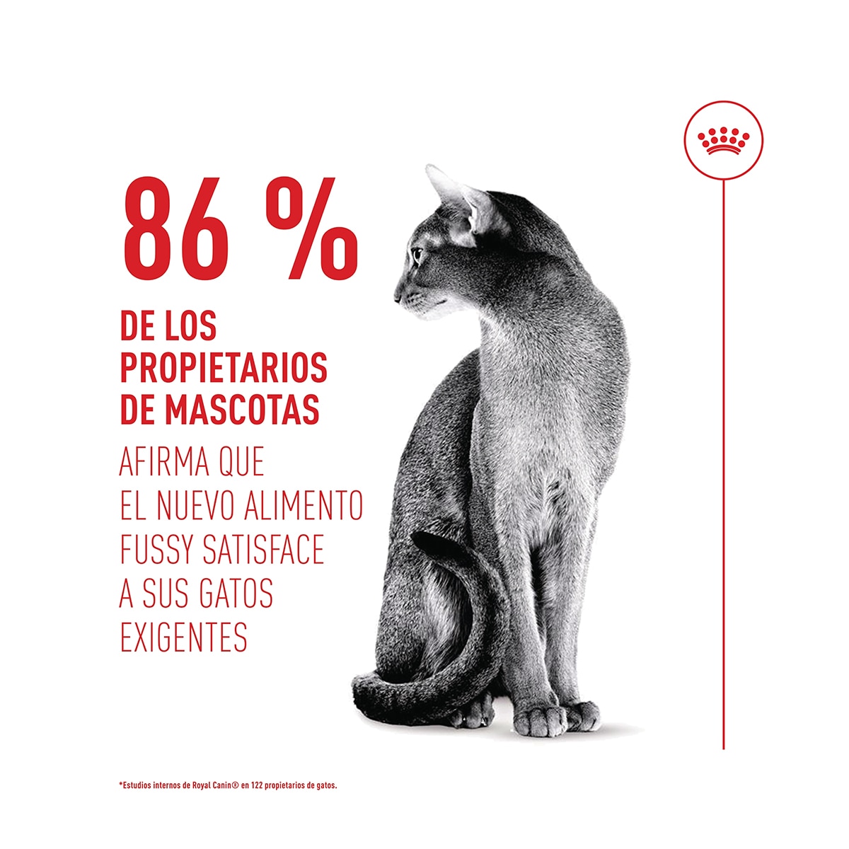 Pienso para gatos adultos Royal Canin Fussy Exigent 4