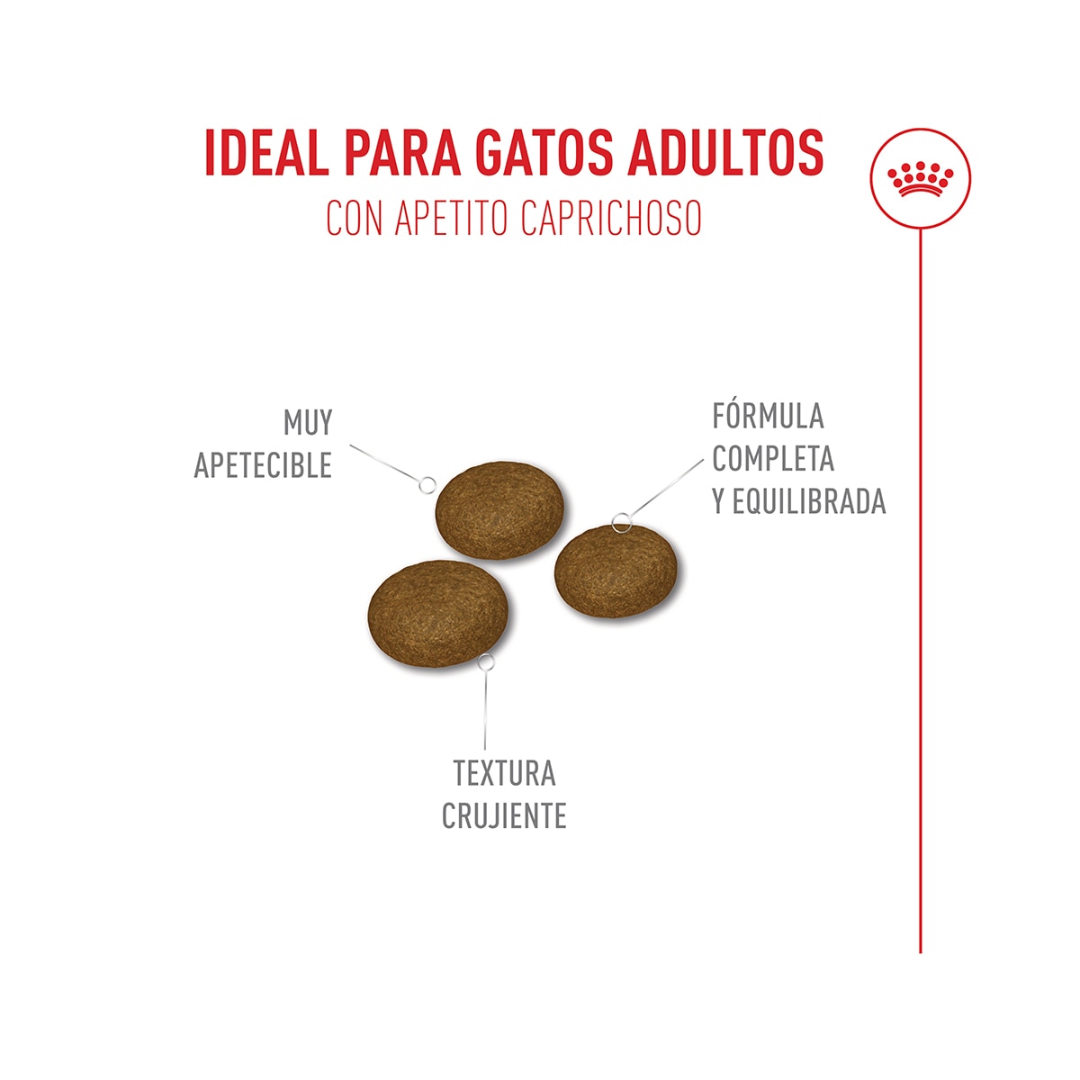 Pienso para gatos adultos Royal Canin Fussy Exigent 6